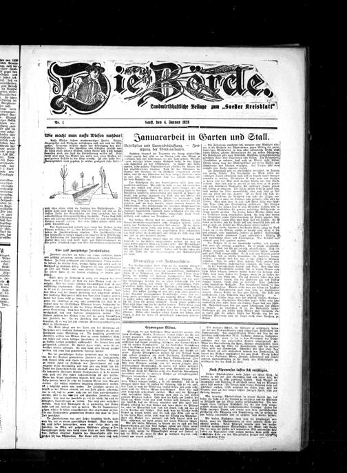 Zur Seitenansicht