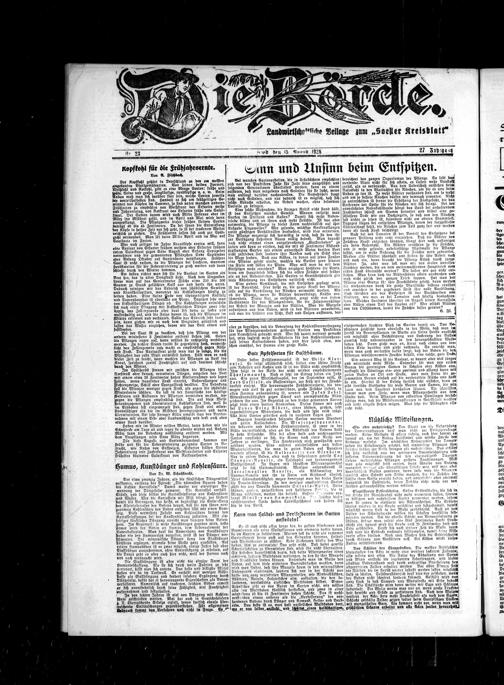 Zur Seitenansicht
